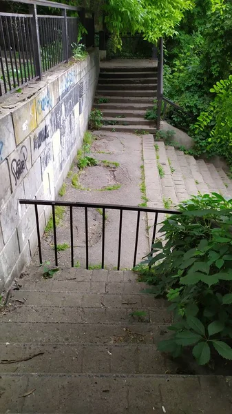 Uma escada de concreto velho coberto com grama — Fotografia de Stock