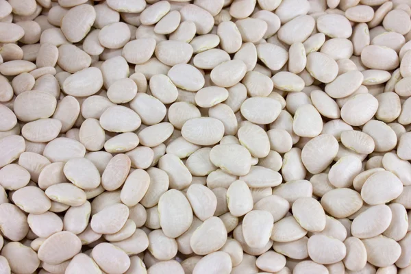 White beans background — Stock Photo, Image