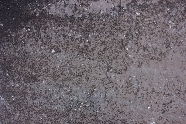 Asphalt with a puddle and fresh dark ice — Stock Photo, Image