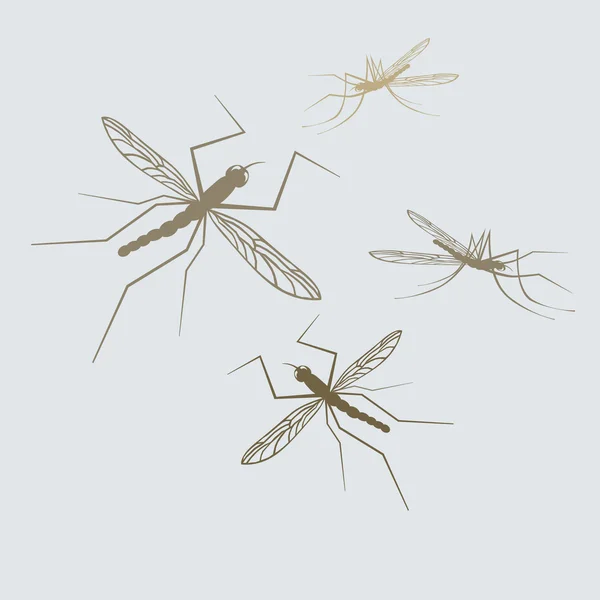 Silhouettes of vector mosquito — Stock Vector