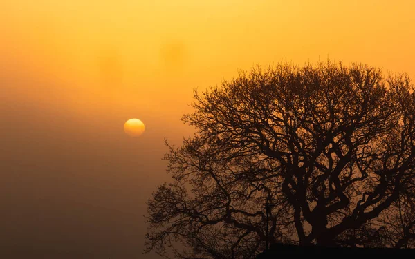 Восход Солнца Туманном Утреннем Фоне — стоковое фото