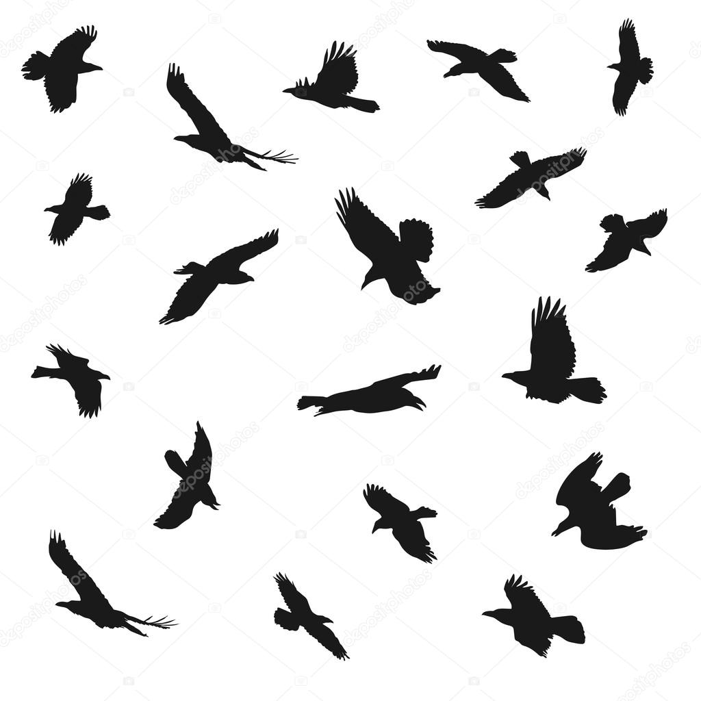 Featured image of post Aguila Volando Silueta Vectores de siluetas gratuitos con fondo transparente para uso comercial en formatos svg y png