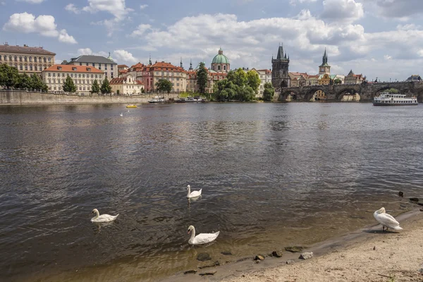 Charles bridge and old town in Prague — Stock Photo, Image