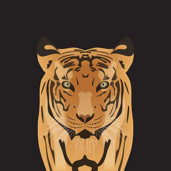 Tigre vector plano — Vector de stock