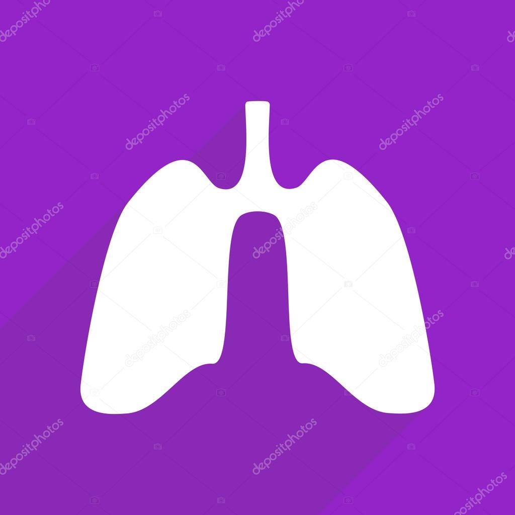 Flat icons with shadow and modern design lung, body, medical