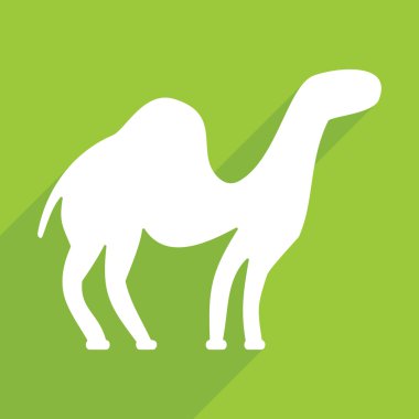 Mobil gölge, deve için Web Simgeler modern tasarım