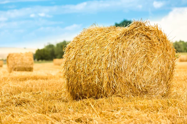 Large round straw bale — Stock Photo, Image