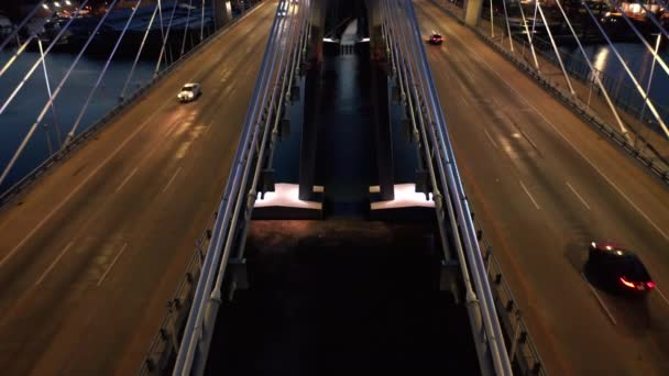 Drohnenaufnahmen von der Neuen Goethebrücke. — Stockvideo