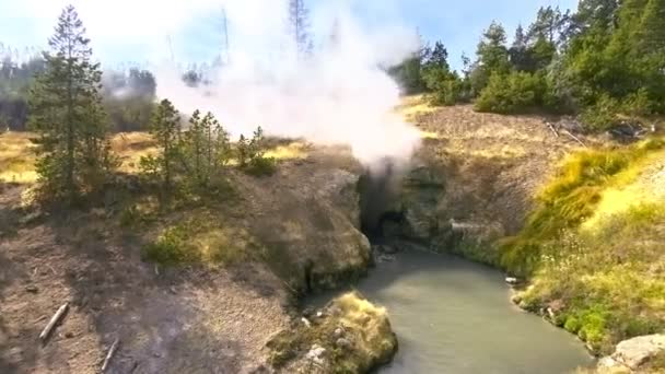 Dragons Mouth Spring in Yellowstone National Park, WY — Stock Video