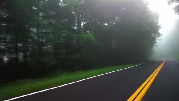 Foggy tortuosa strada attraverso il Parco Nazionale Great Smoky Mountains, TN — Video Stock