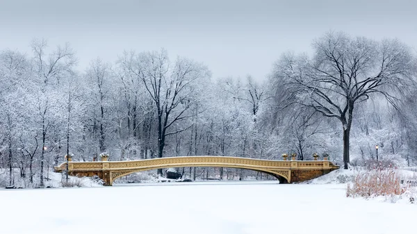 Ponte di prua a Central Park, NYC — Foto Stock