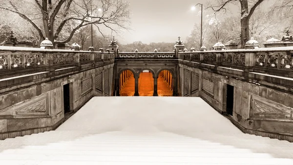 Pedestrian tunnel under Terrace Drive — Stock Photo, Image