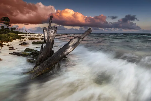 Tropical Caribbean beach — Stockfoto