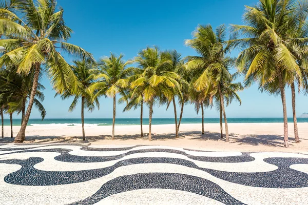 Palmbomen en de iconische Copacabana beach — Stockfoto