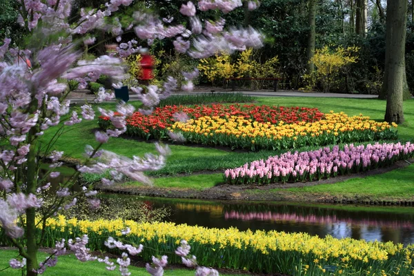 Keukenhof Flower Gardens — Stock Photo, Image
