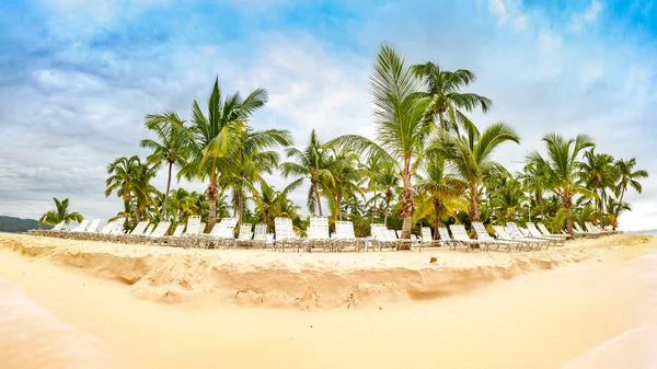 Palmiye ağaçları ile halk plajı — Stok fotoğraf