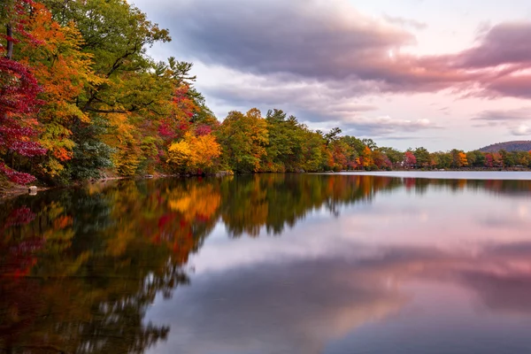 Herbstlaub spiegelt sich im Hessischen See — Stockfoto