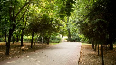 Parklar ve meydanlar, eğlence yerleri.