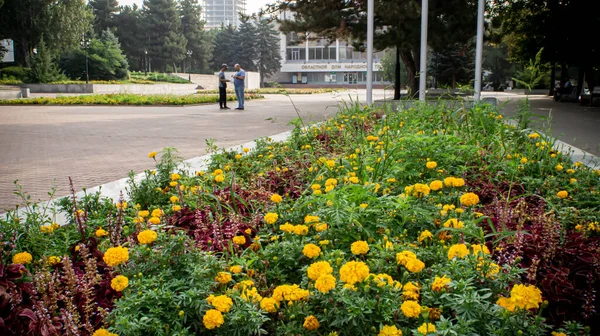 Parks Und Plätze Orte Der Erholung — Stockfoto