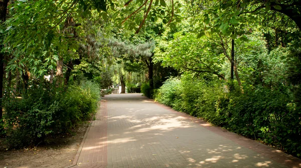 Parques Praças Locais Recreação — Fotografia de Stock