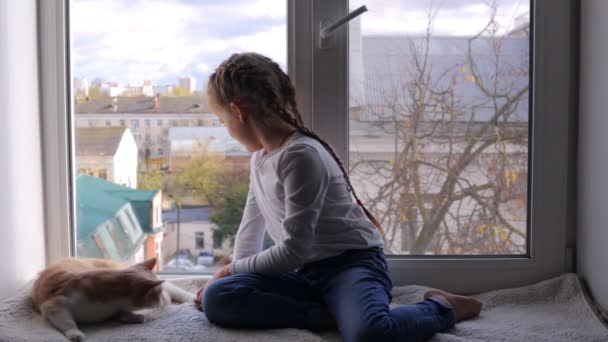 La fille est assise avec un chat sur le rebord de la fenêtre et regarde par la fenêtre. Relations familiales, relations avec un animal de compagnie. — Video