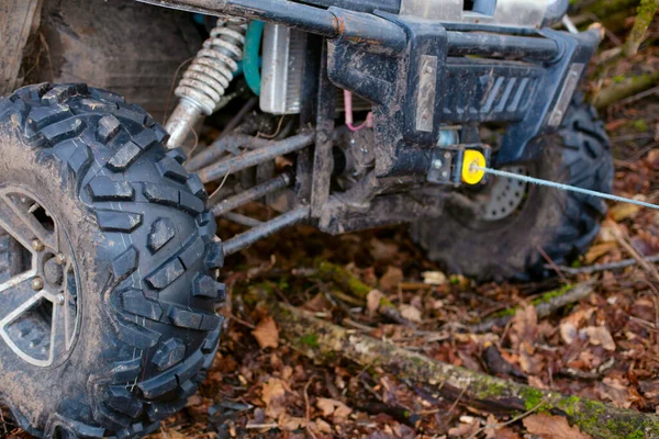 Tehlikeli kongre at arabasında hendekte
