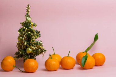 Birçok manadarin küçük bir Yeni Yıl ağacının altında pembe bir arka planda yatar. Yeşil dalları olan güzel olgun mandalin meyvesi.