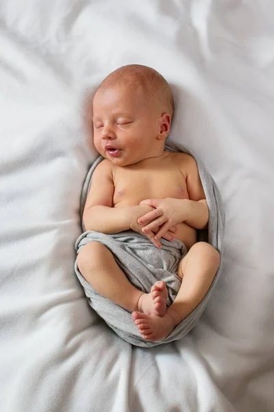 Sleeping newborn boy on a white background in a gray wrap. Vertical photo of a newborn baby who sleeps sweetly — Stock Photo, Image