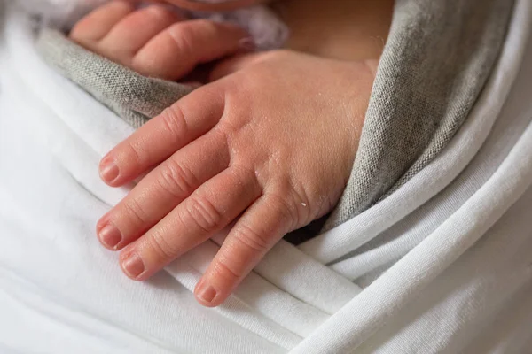 Primer plano de una mano de bebé recién nacido. Pequeño mango de un bebé recién nacido —  Fotos de Stock
