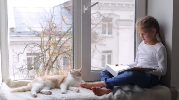 Европейский ребенок сидит на подоконнике со своим котом и смотрит на семейный альбом — стоковое видео