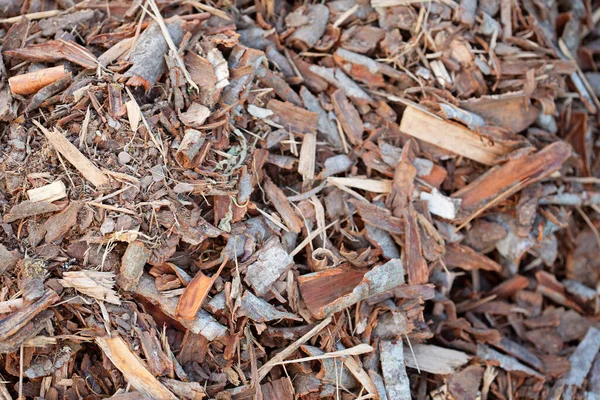 Aserrín, virutas de madera. Abono de corteza. Primer plano de los restos de la corteza de los árboles. Material natural —  Fotos de Stock