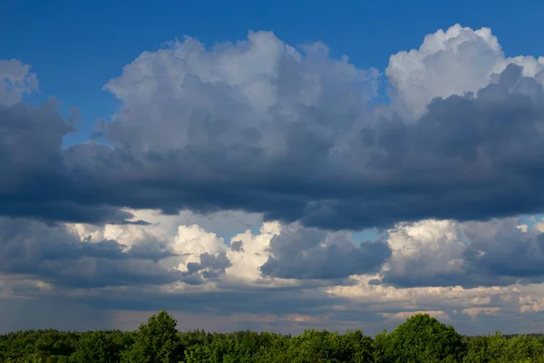 Летнее небо и деревья внизу. Голубое небо с белыми облаками и верхушками деревьев. — стоковое фото