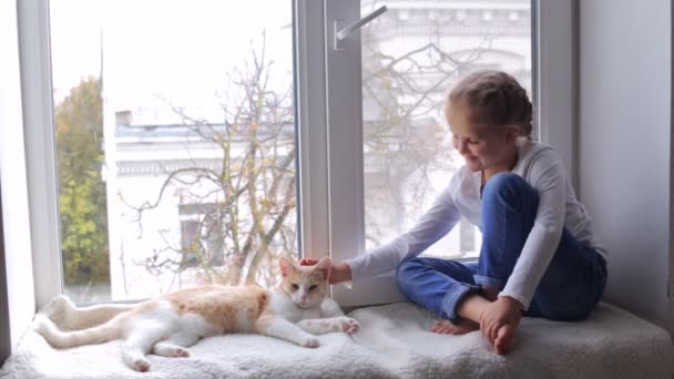 Маленька дівчинка погладжує свого кота, сидячи на підвіконні. Дружба дівчини і кішки . — стокове відео