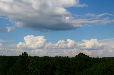 Beyaz bulutlu mavi gökyüzü. Gökyüzü ve ağaçların güzel manzarası