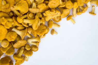 Yazı arkaplanındaki mantarların fotokopi alanı ile çekilmesi