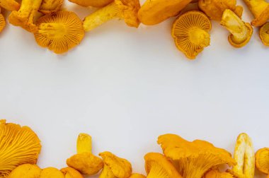 Beyaz arkaplanlı vejetaryen mantar mantarları. 