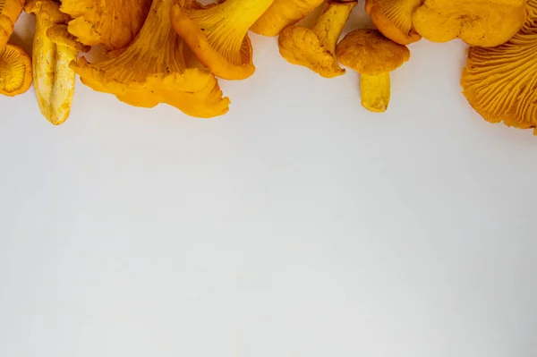 Champiñones de cantarela vegetariana sobre fondo blanco con espacio para copiar — Foto de Stock