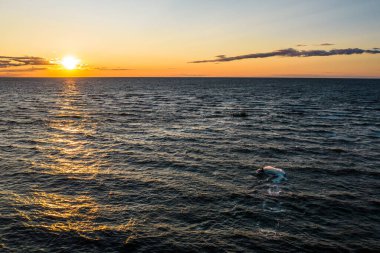 Güneşin altın yansıması içinde suyla kayan bir adam