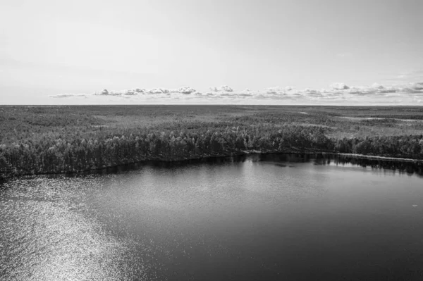 Вид с воздуха на черно-белые болота, леса и глубокие озера — стоковое фото