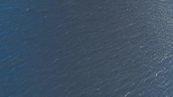 Mavi denizde yüksek hızda seyreden lüks teknenin insansız hava aracı görüntüsü — Stok video