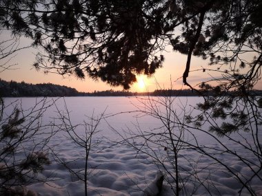 Ladin dalının arkasındaki hafif sütun donmuş bir gölün üzerinde.