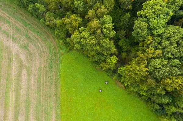 Green Farm lawn, corn plowed field and autumn forest — Stock Photo, Image