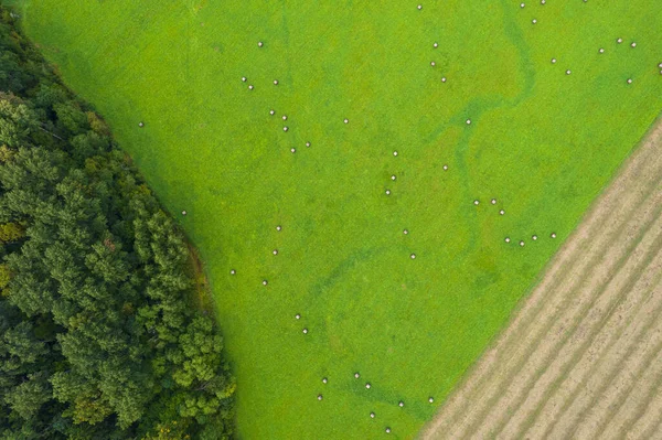 Green Farm lawn, corn plowed field and autumn forest — Stock Photo, Image