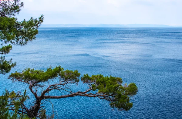 Mar Adriático na Croácia, Makarska cidade . — Fotografia de Stock