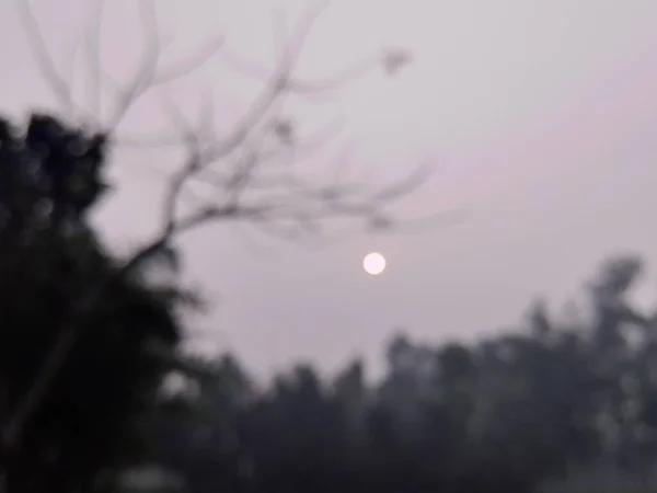 Die Sonne Scheint Einem Wintermorgen Durch Den Nebel — Stockfoto