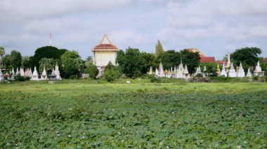 Lotus ve pagoda şaft ışığın altında arka planda