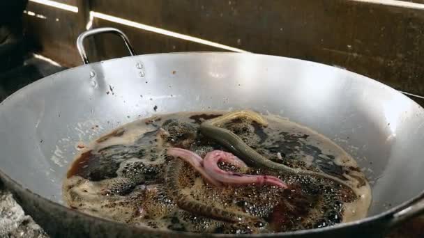 Cerca de serpientes fritas en wok cocinar — Vídeos de Stock