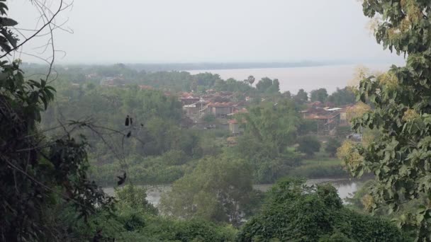 Dorf am Fluss, umgeben von üppiger Vegetation und tropischen Pflanzen — Stockvideo