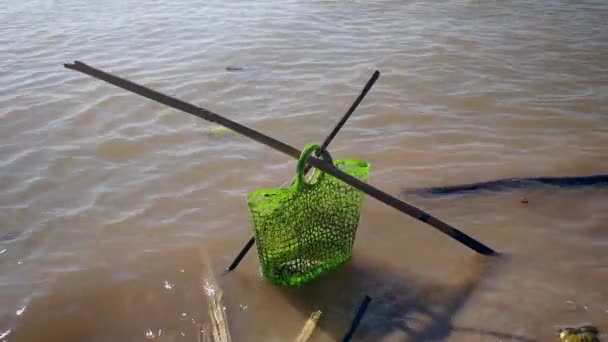 Fresh-caught fishes inside a plastic basket hold with bamboo poles in water — Stock Video