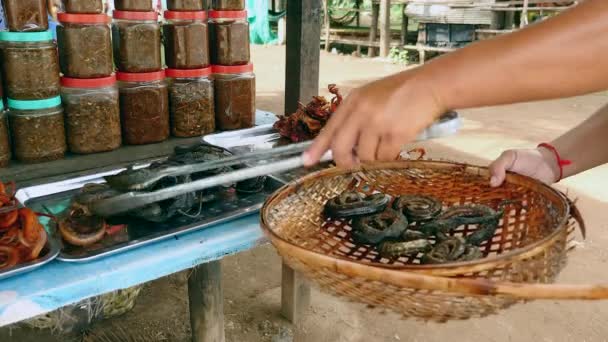 Close-up no vendedor de alimentos enchendo bandeja com pequenas cobras fritas — Vídeo de Stock